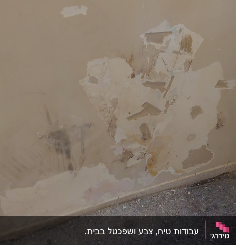 קיר עם קילופי צבע ותיקונים